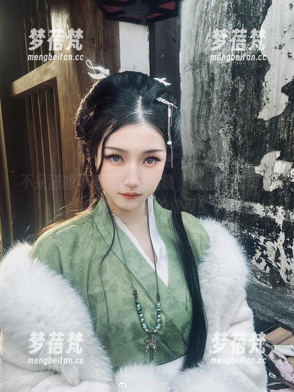 不呆猫的可爱写真集揭晓，原图中的每一帧都是幸福的浓缩！
