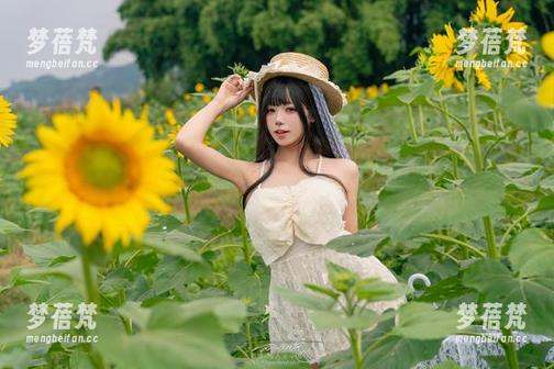 感受“咬人小小兔”的魅力，《碧蓝档案飞鸟马时》美图资源让你停不下来，美丽尽在其中！