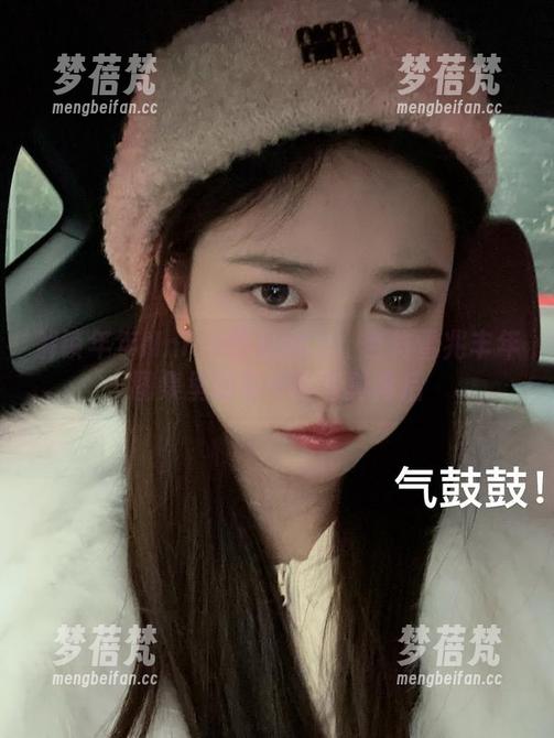 解锁年年Nnian作品魅力：吉祥雪兆丰年图集里的每一张写真背后
