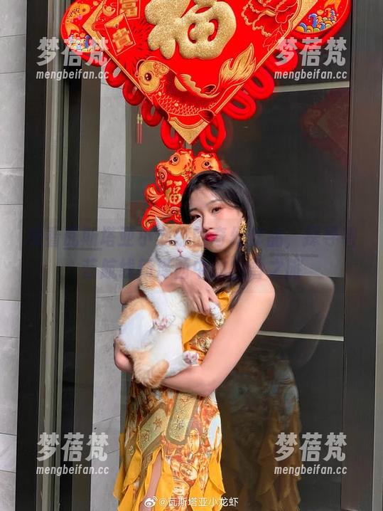 观看瓦斯塔亚小龙虾的奇幻作品，探寻碧蓝航线新泽西中的白雪之旅